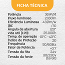 Fita LED Branco-Quente 3000K | 5m, 240 LEDs/m, IP20 - Ideal para Ambientes Internos